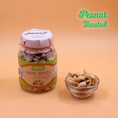 Green Harvest Peanut Toasted (Imported) (100 gm)- image