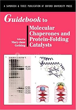 Guidebook to Molecular Chaperones and Protein-Folding Catalysts image