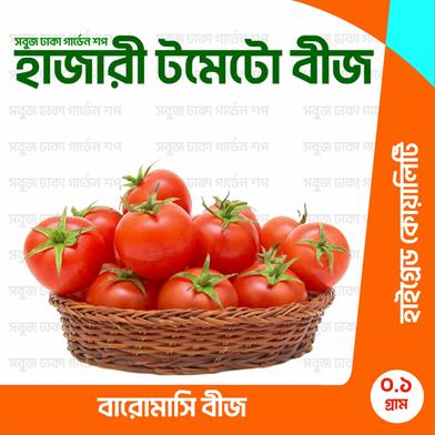 Hazari Baromasi Tomato Beej image