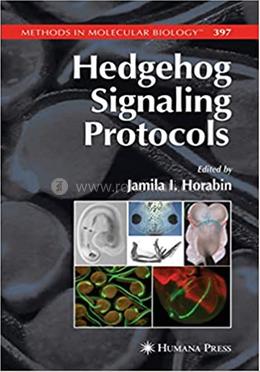 Hedgehog Signaling Protocols image