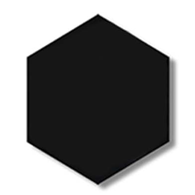 Hexagon Canvas 6 inch Black image