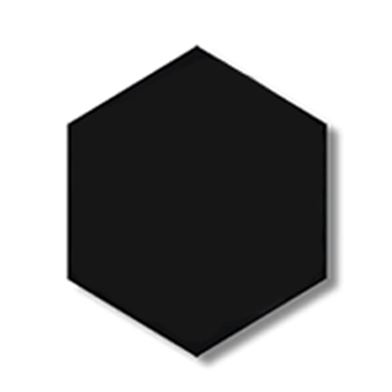 Hexagon Canvas 8 inch Black image