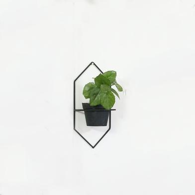 Brikkho Hat Hexagonal Planter image