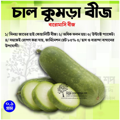 High Grade Chal Kumra Baromasi Beej image