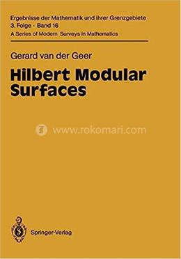 Hilbert Modular Surfaces image