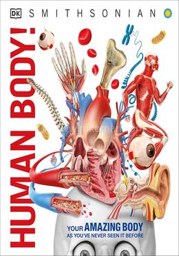 Human Body! image