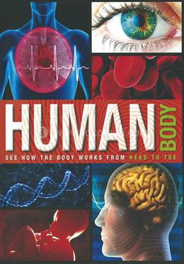 Human Body image