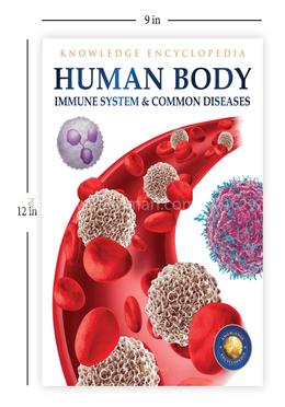 Human Body - Immune System And Common Diseases image