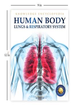 Human Body - Lungs And Respiratory System image