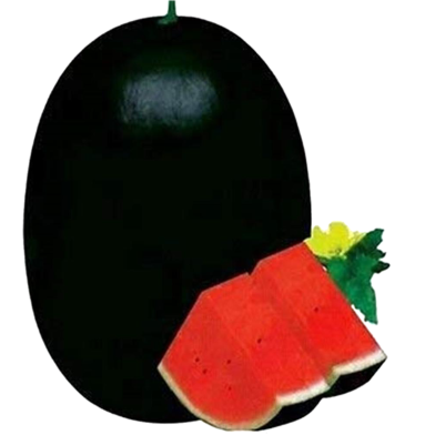 Hybrid Black Water Melon Seeds 5pcs image