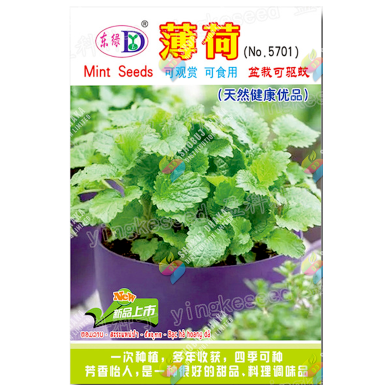 Hybrid Imported Mint Seeds Intact Pack - 5gm image
