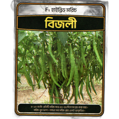 Hybrid Summer Chili BIJLI Intact Pack image