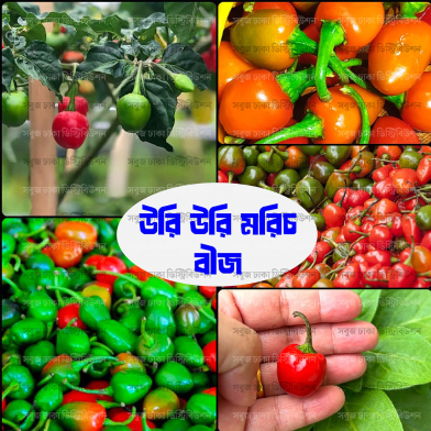 Hybrid Uri Uri Chili Seeds 5 Pcs image