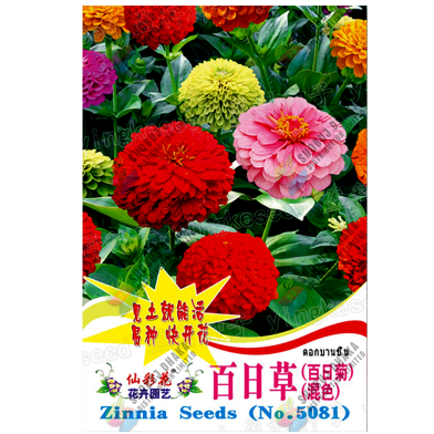 Hybrid Zinnia Flower Seed Imported - 10pcs image