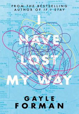 I Have Lost My Way image