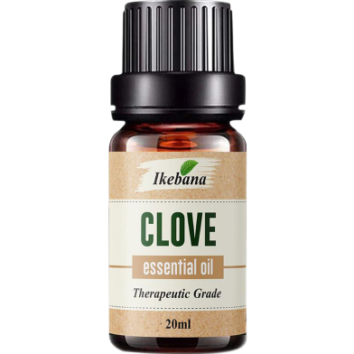 Ikebana Clove Essential Oil (20 ml) image