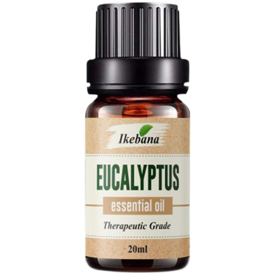 Ikebana Eucalyptus Essential Oil (20 ml) image