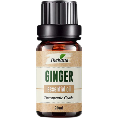 Ikebana Ginger Essential Oil (20 ml) image