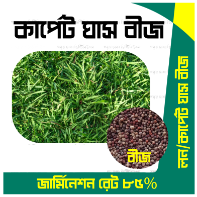 Imported Lawn Grass/ Carpet Grass Seeds (Re-Pack) 1gm image