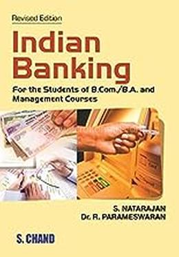 Indian Banking image