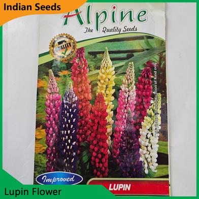Indian Flower Seeds in Bangladesh- Lupin Flower image