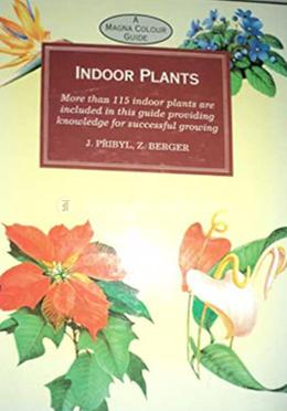 Indoor Plants image