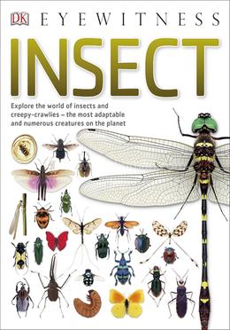 Insect 