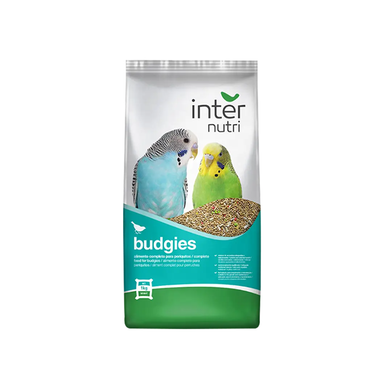 InterNutri Budgie Mix Pack 1KG : Non-Brand | Rokomari.com