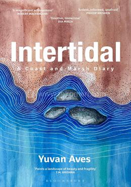 Intertidal image