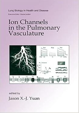 Ion Channels in the Pulmonary Vasculature image