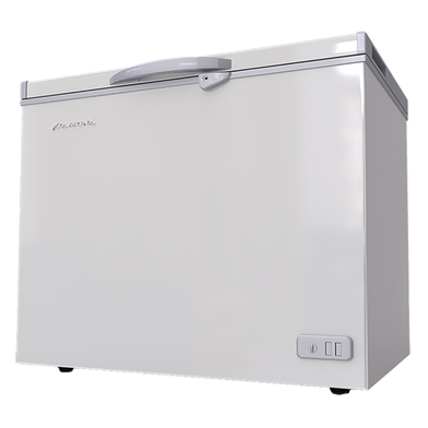 Jamuna JE-150L Freezer - White image