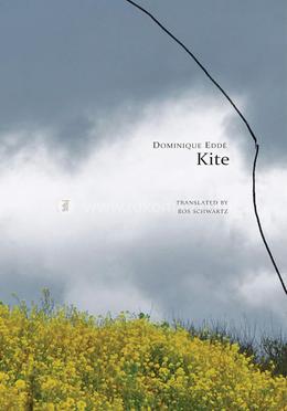 Kite image