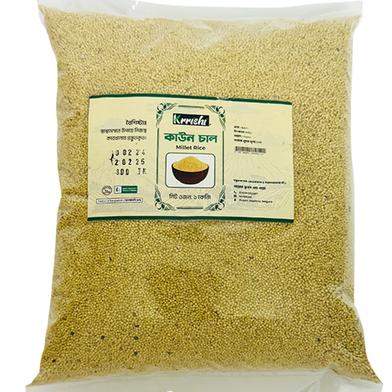 Krrishi Kaun Rice 1 kg image