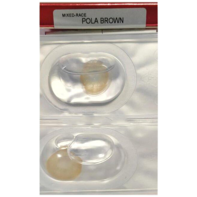 Ksseye Pola Brown Color Contact Lens image