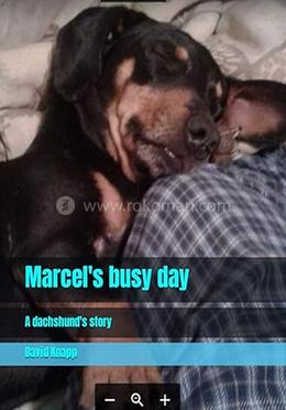 Marcel's busy day image