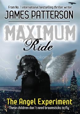 Maximum Ride: The Angel Experiment image