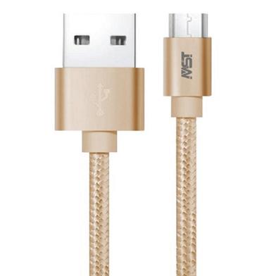 Megastar 2M Micro USB Fast Charging Cable-Gold image