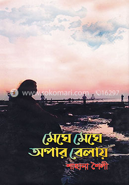 মেঘে মেঘে অপার বেলায় image