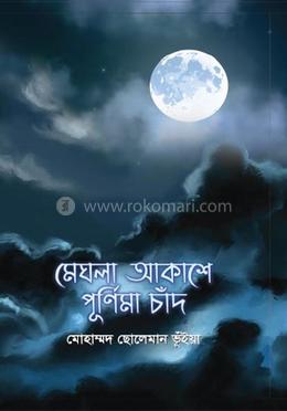 মেঘলা আকাশে পূর্ণিমা চাঁদ image