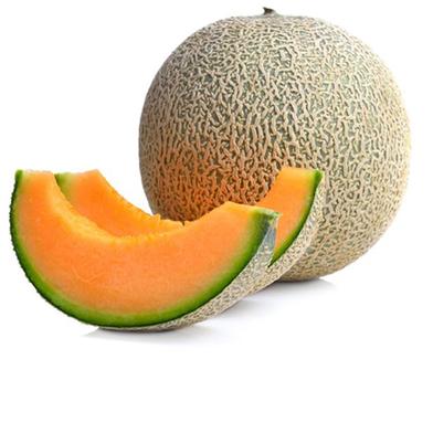 Melon Seed image