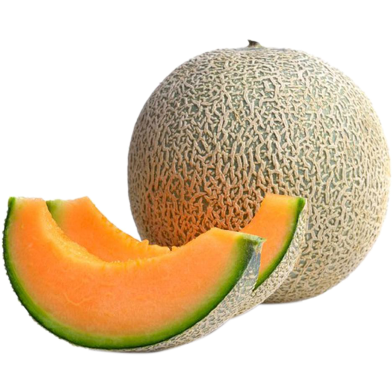 Melon Seed image