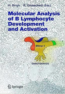 Molecular Analysis of B Lymphocyte Development and Activation image