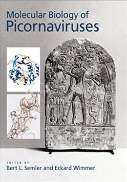 Molecular Biology of Picornaviruses