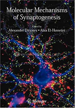 Molecular Mechanisms of Synaptogenesis image