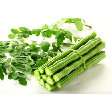 Moringa Fruit Seed image