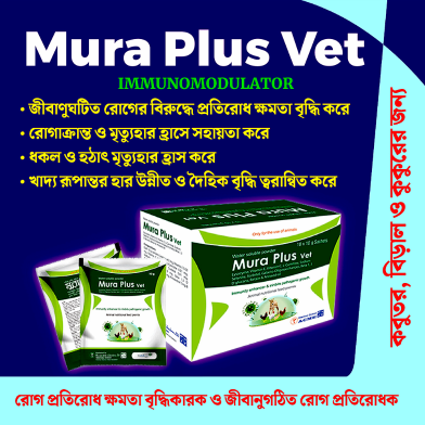 Mura Plus Vet (Enhances immunity against bacteria and viral diseases) 10gm image