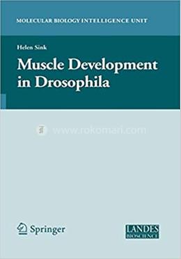Muscle Development in Drosophilia image
