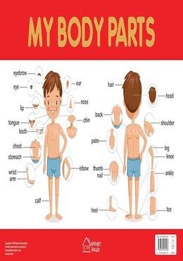 My Body Parts Chart Early Learning Educational Chart For Kids