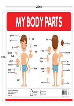 My Body Parts - My First Early Learning Wall Chart image