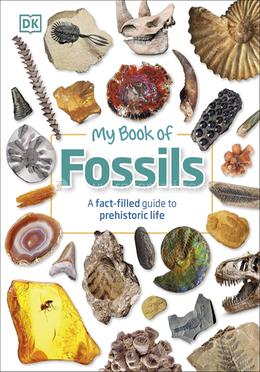 My Book of Fossils image